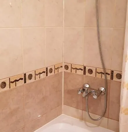 Apartament Charming Winter Boroveț