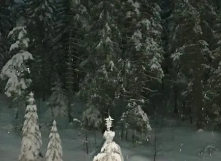 Charming Winter Апартаменты *