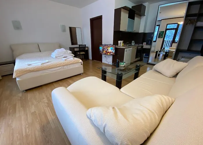 Charming Winter * Borovets